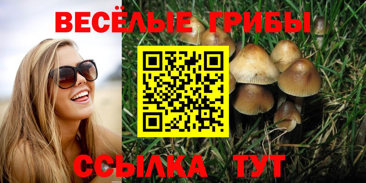дарнет шоп  Псилоцибиновые грибы Psilocybine cubensis  Ликино-Дулёво  Вход с VPN  Галлюциногенные грибы GOLDEN TEACHER 